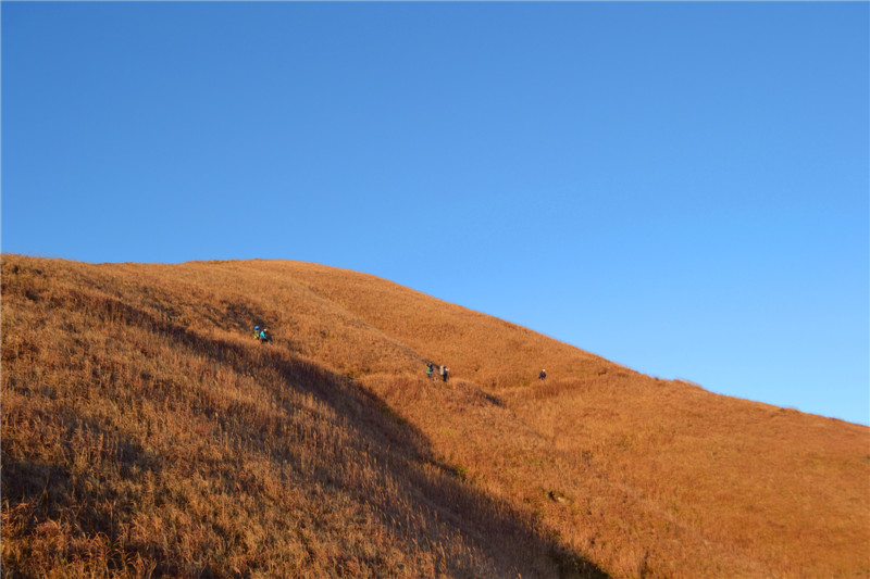 dsc_1193.jpg
