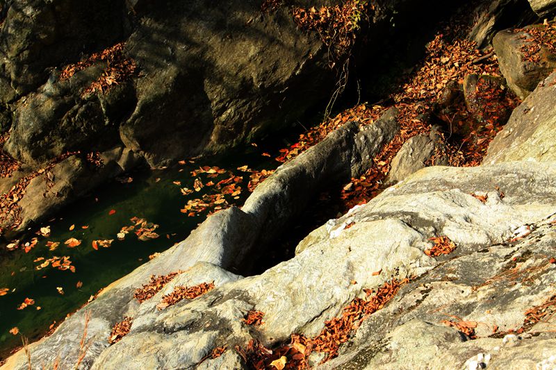2012.12.5 253_.jpg