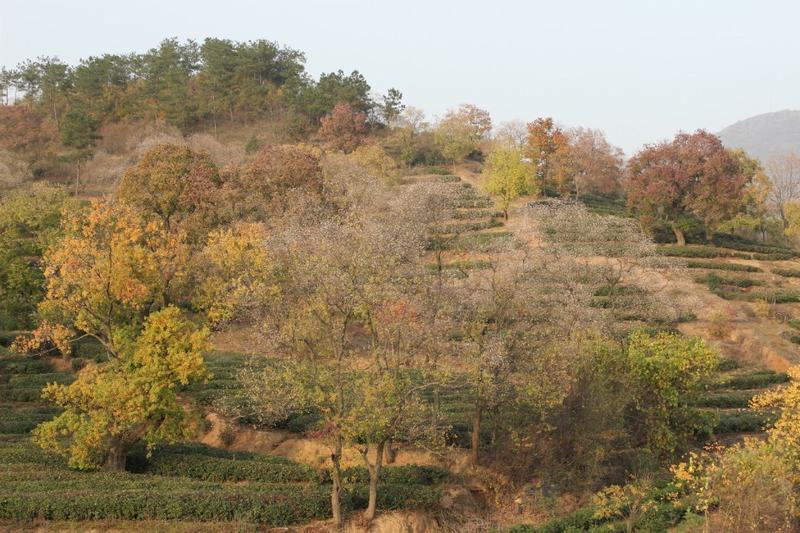 qqͼƬ20131122112520.jpg