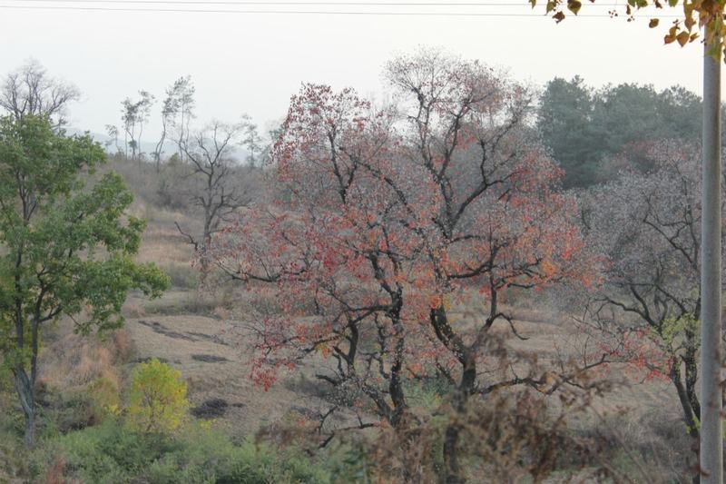 qqͼƬ20131122112528.jpg