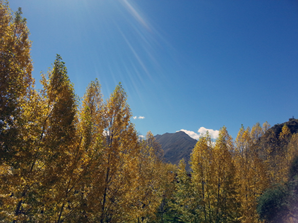 20131011_122334.jpg