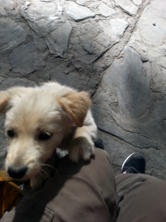 20131015_164607.jpg