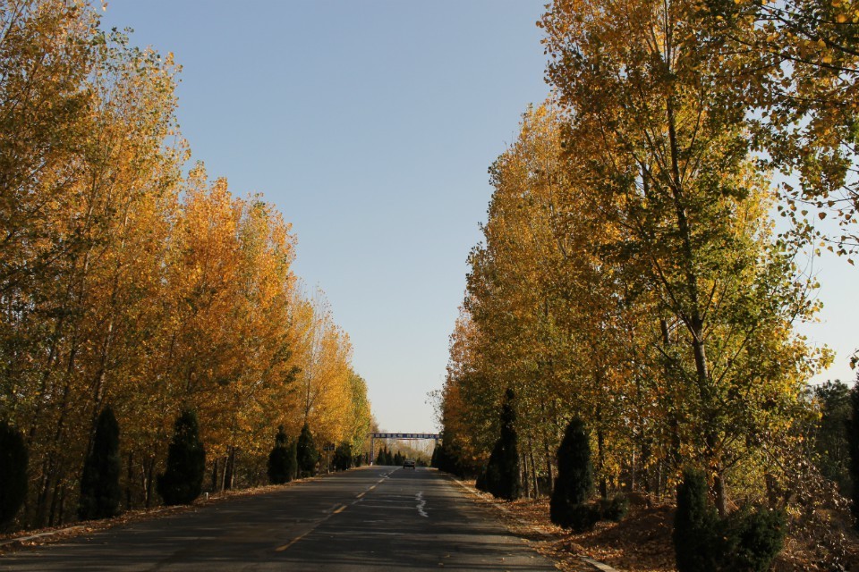 qqͼƬ20131122194810.jpg