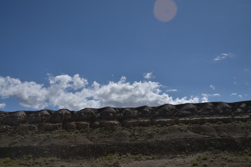 dsc_0977.jpg