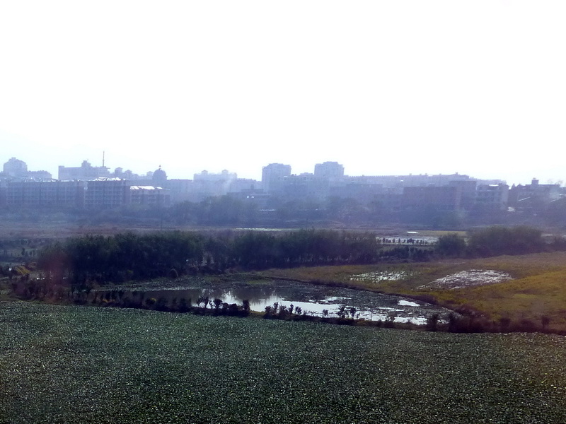 p1140716.jpg