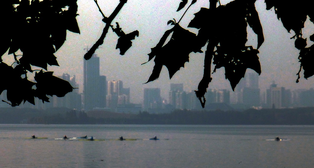 p1140510.jpg