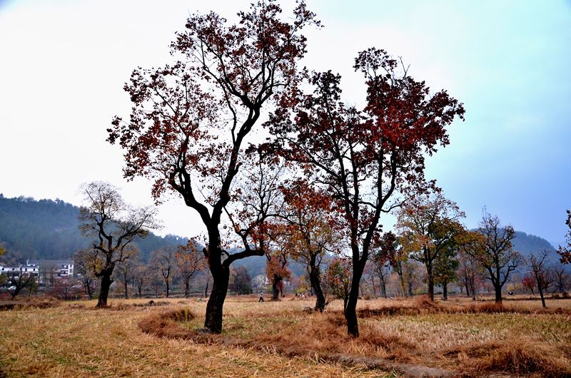 dsc_7201.jpg