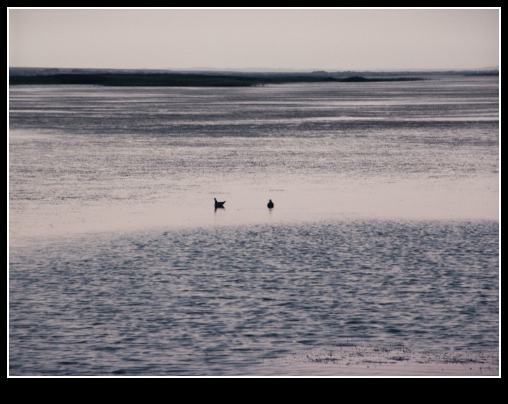 dsc00002_conew1.jpg