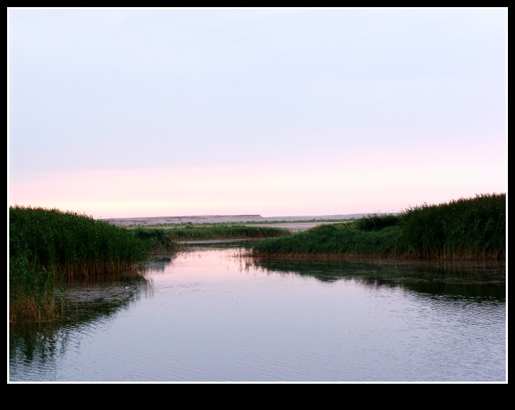 dsc00019_conew1.jpg