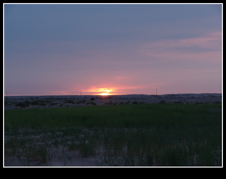 dsc00099_conew1.jpg