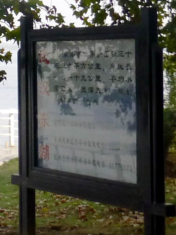 p1140528.jpg