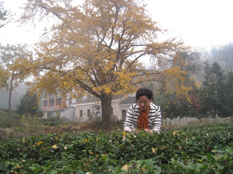 conew_img_4393.jpg