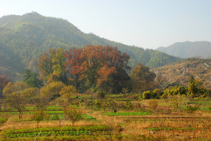 dsc_0030.jpg