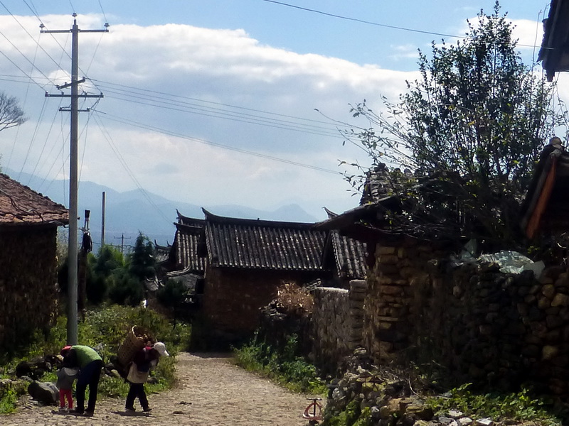 p1140119.jpg