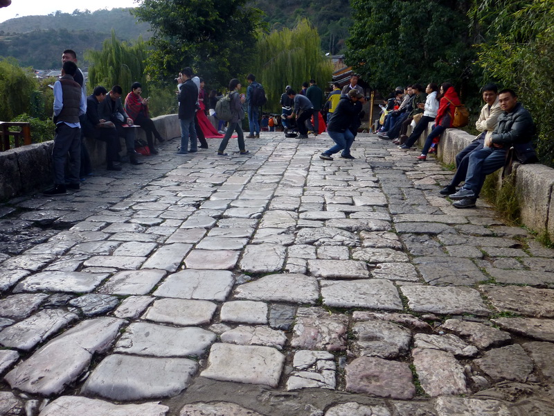 p1140174.jpg