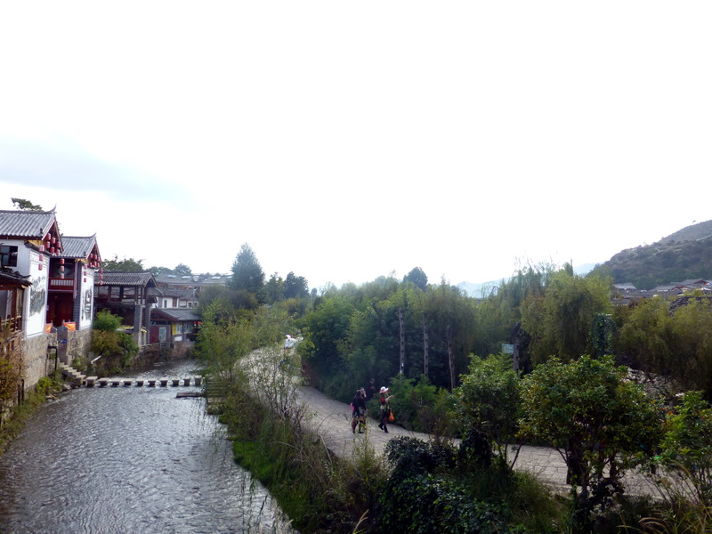 p1140175.jpg