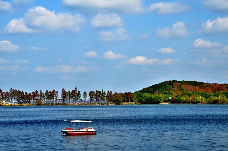 dsc_7719.jpg