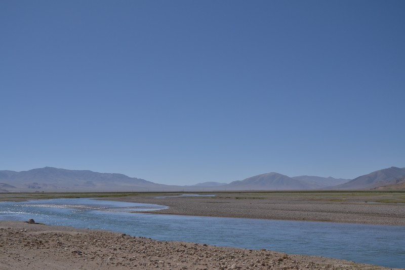 dsc_1555.jpg