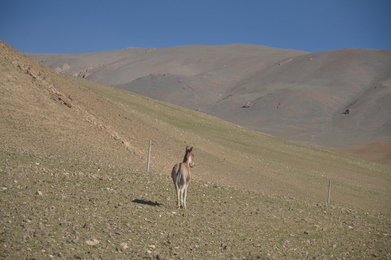 dsc_1625.jpg