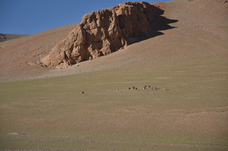 dsc_1632.jpg