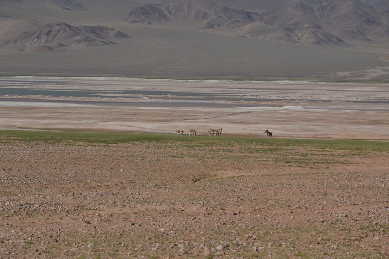 dsc_1616.jpg