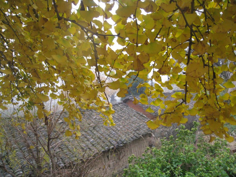 conew_img_4405.jpg