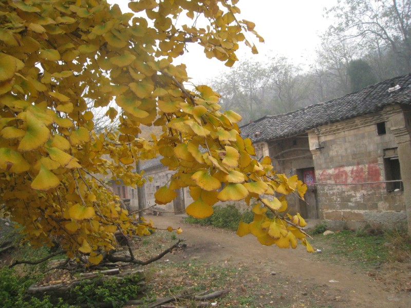 conew_img_4406.jpg