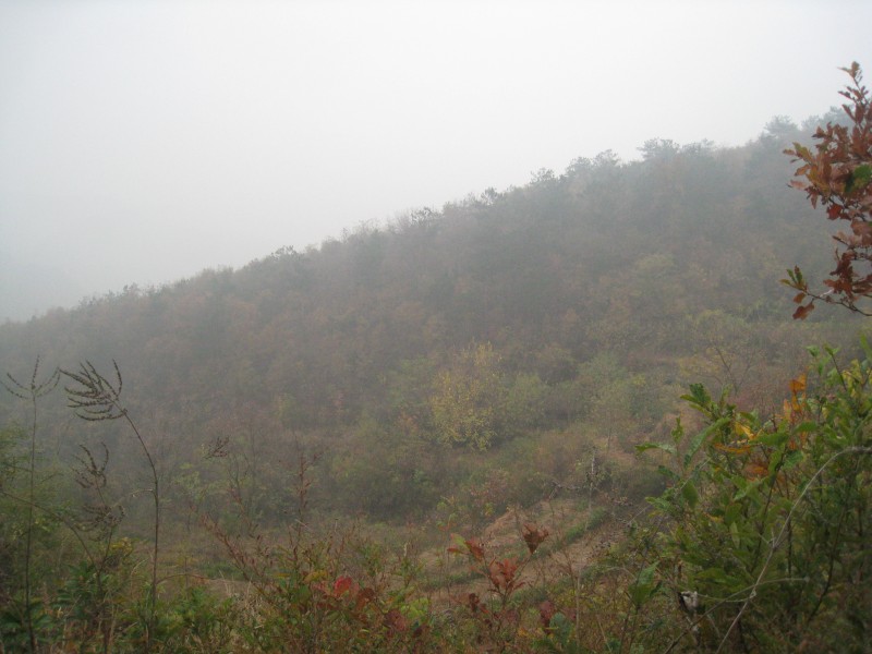 conew_img_4420.jpg