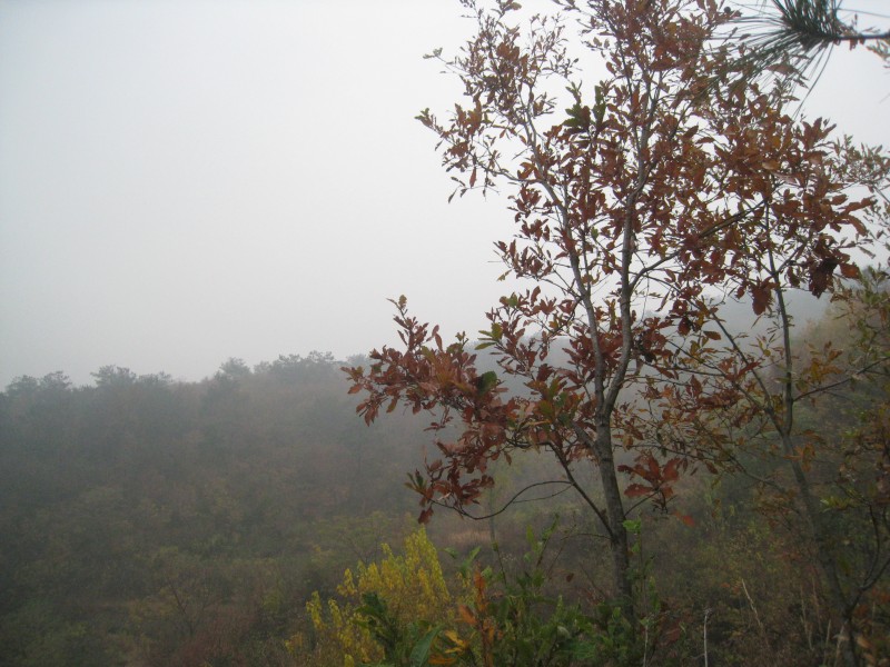 conew_img_4421.jpg
