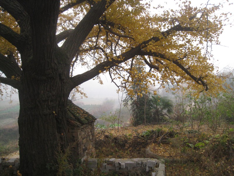 conew_img_4445.jpg