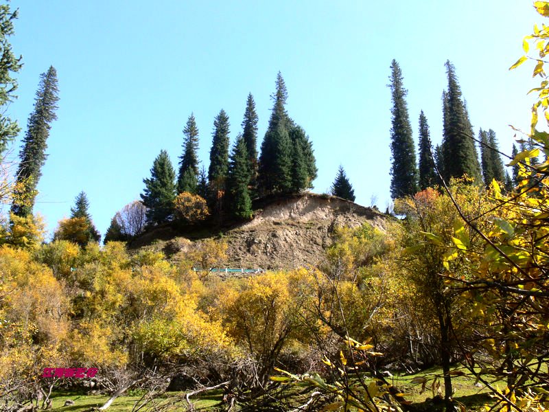 p12902851.jpg