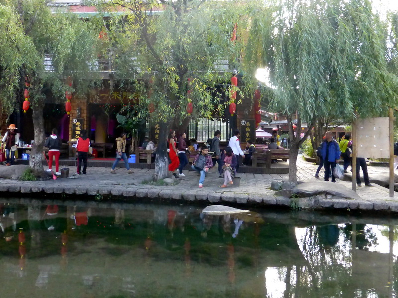 p1140194.jpg