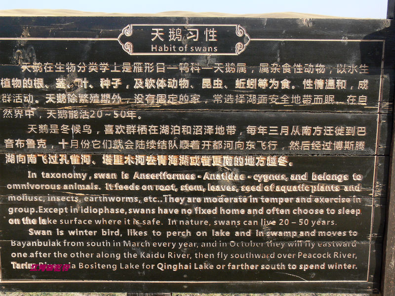 p1290293.jpg
