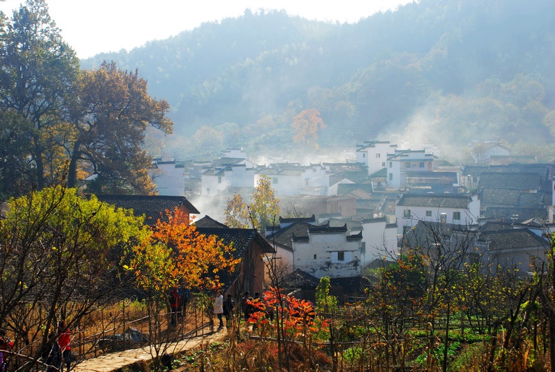 dsc_0113.jpg