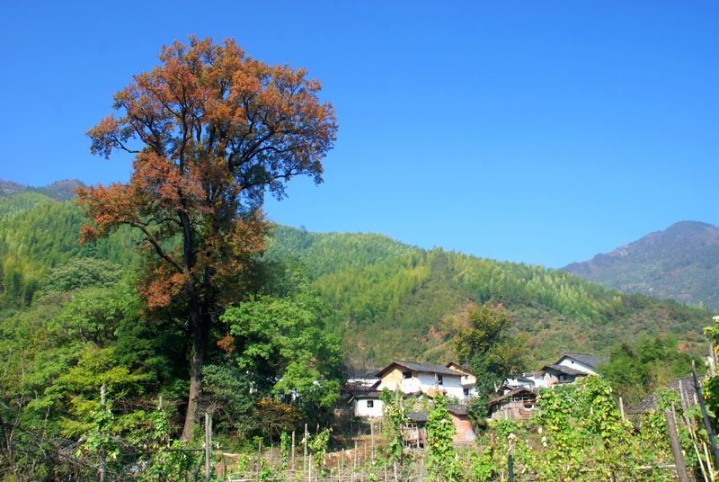 dsc_0184.jpg