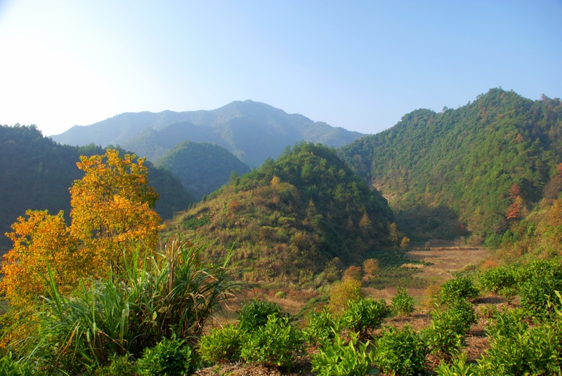 dsc_0294.jpg