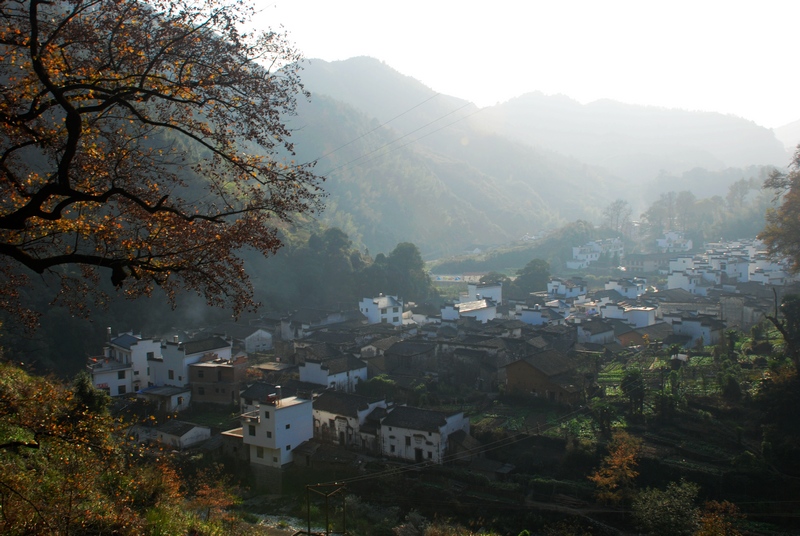 dsc_0301.jpg
