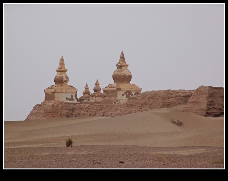 dsc00150_conew1.jpg