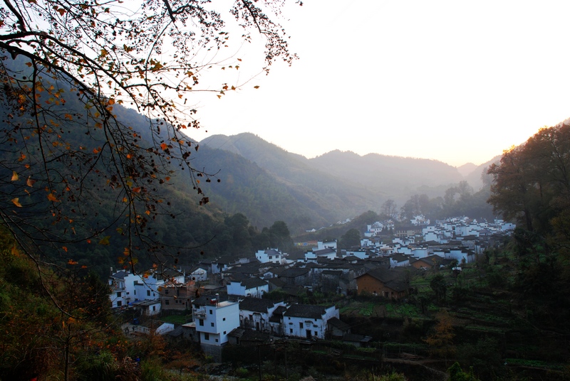 dsc_0336.jpg