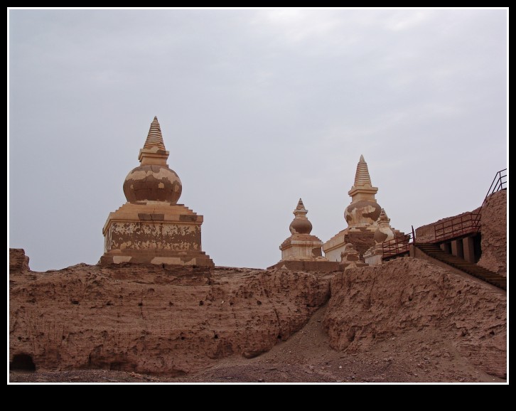 dsc00188_conew1.jpg