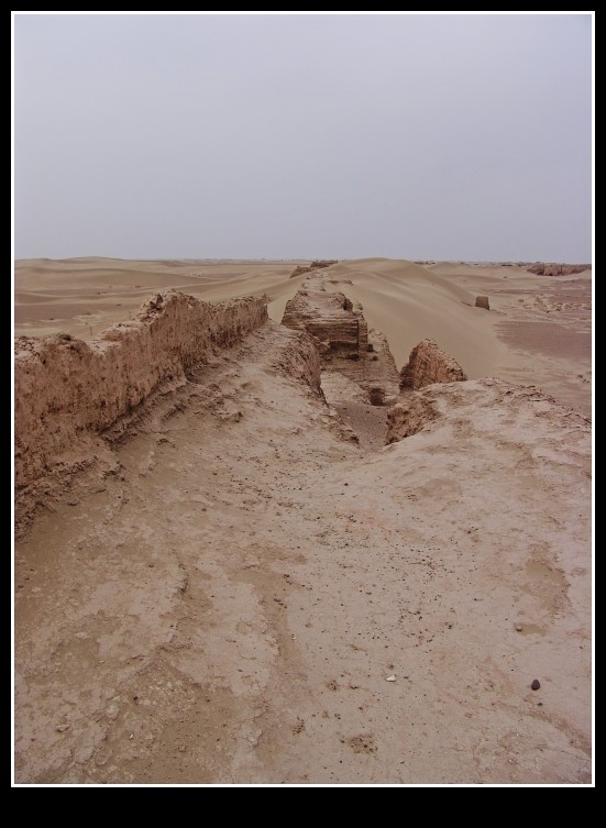dsc00202_conew1.jpg