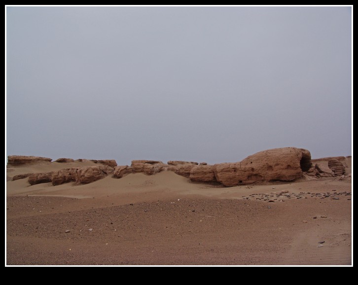 dsc00219_conew1.jpg