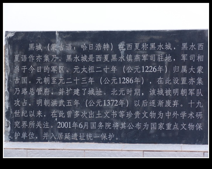 dsc00237_conew1.jpg