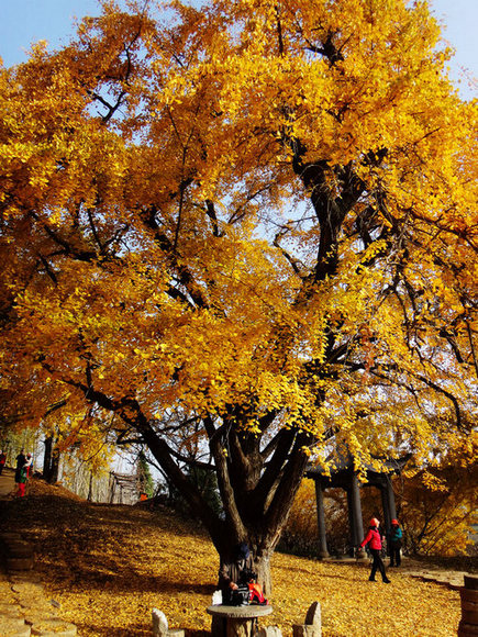 dsc04305.jpg