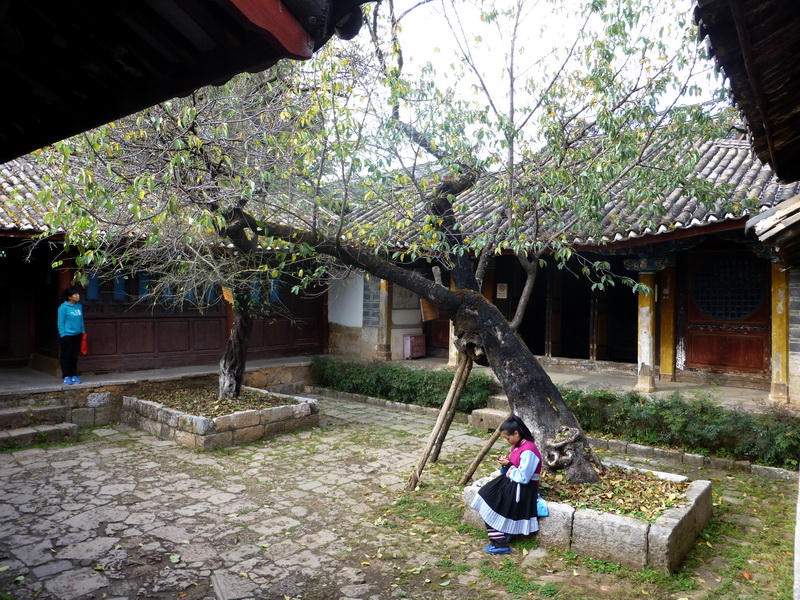 p1140165.jpg