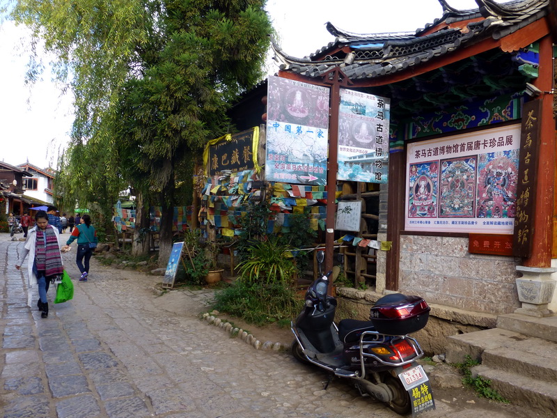 p1140169.jpg
