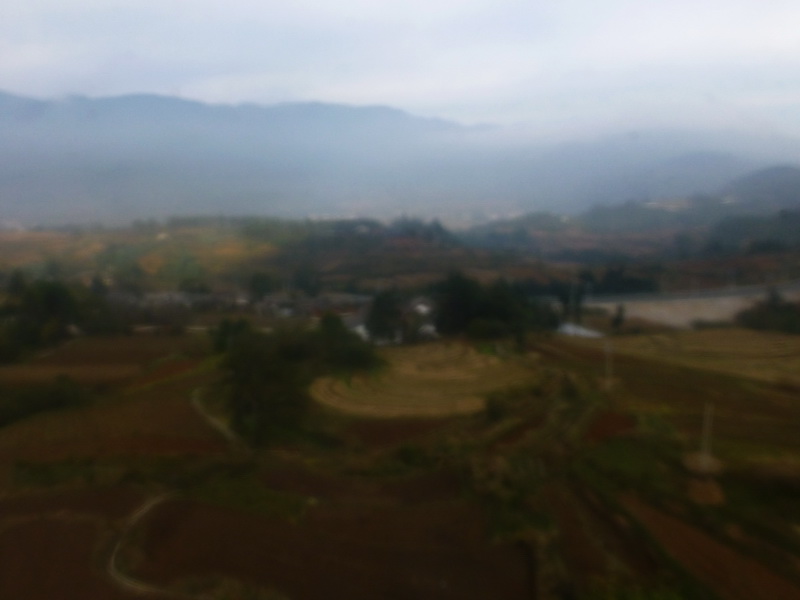 p1140235.jpg
