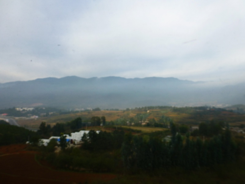 p1140236.jpg