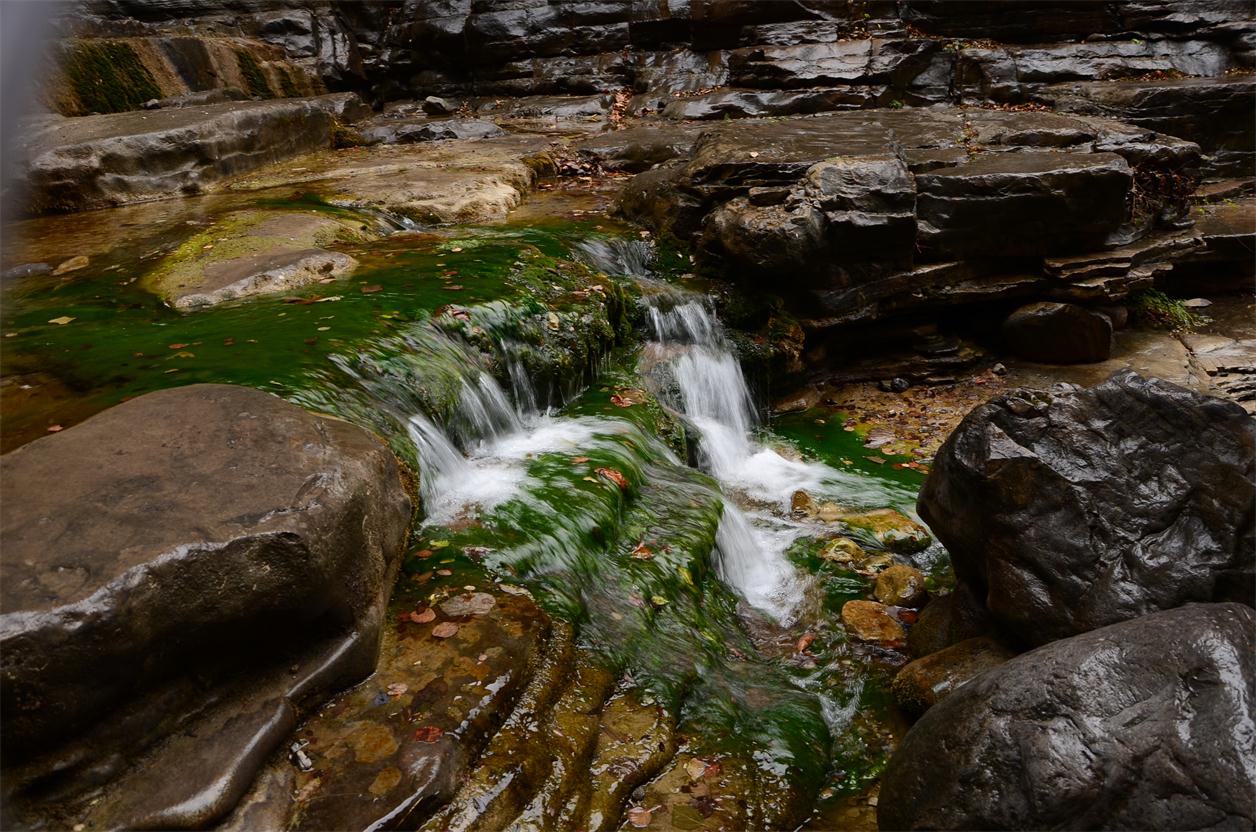 dsc_0131.jpg