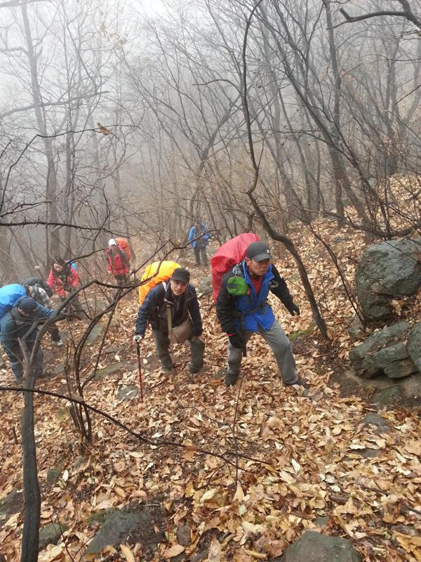 20131123_110224.jpg
